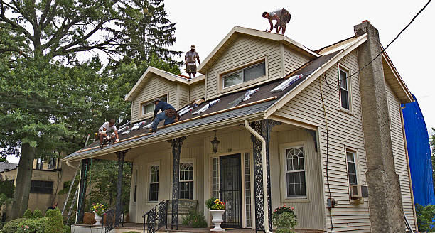 Best Roof Gutter Cleaning  in Mount Angel, OR